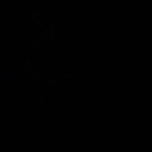 Meet your Posher, Annaliese